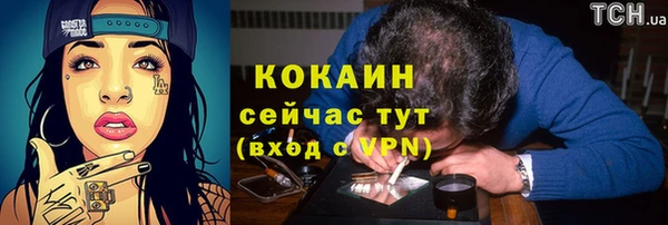 первитин Ельня