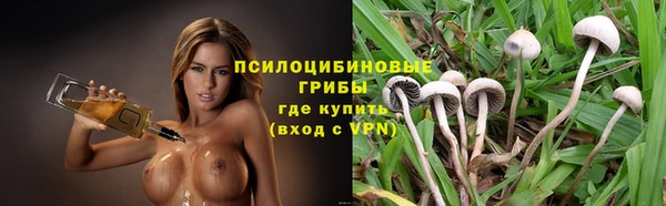 ALPHA PVP Елизово