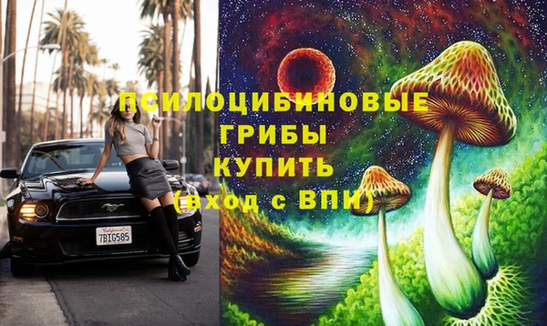 первитин Ельня