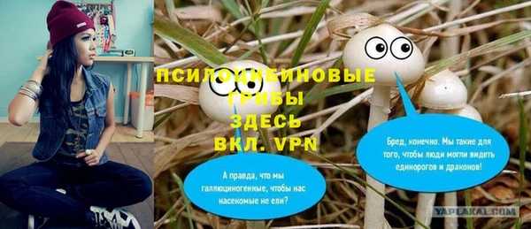 спайс Заволжье