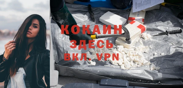 ALPHA PVP Елизово