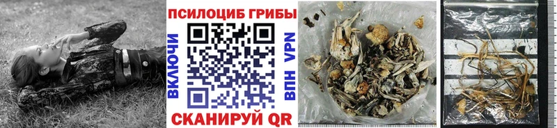 Галлюциногенные грибы Cubensis  Купить закладки  Кашин 